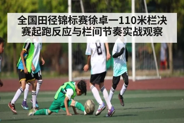 全国田径锦标赛徐卓一110米栏决赛起跑反应与栏间节奏实战观察